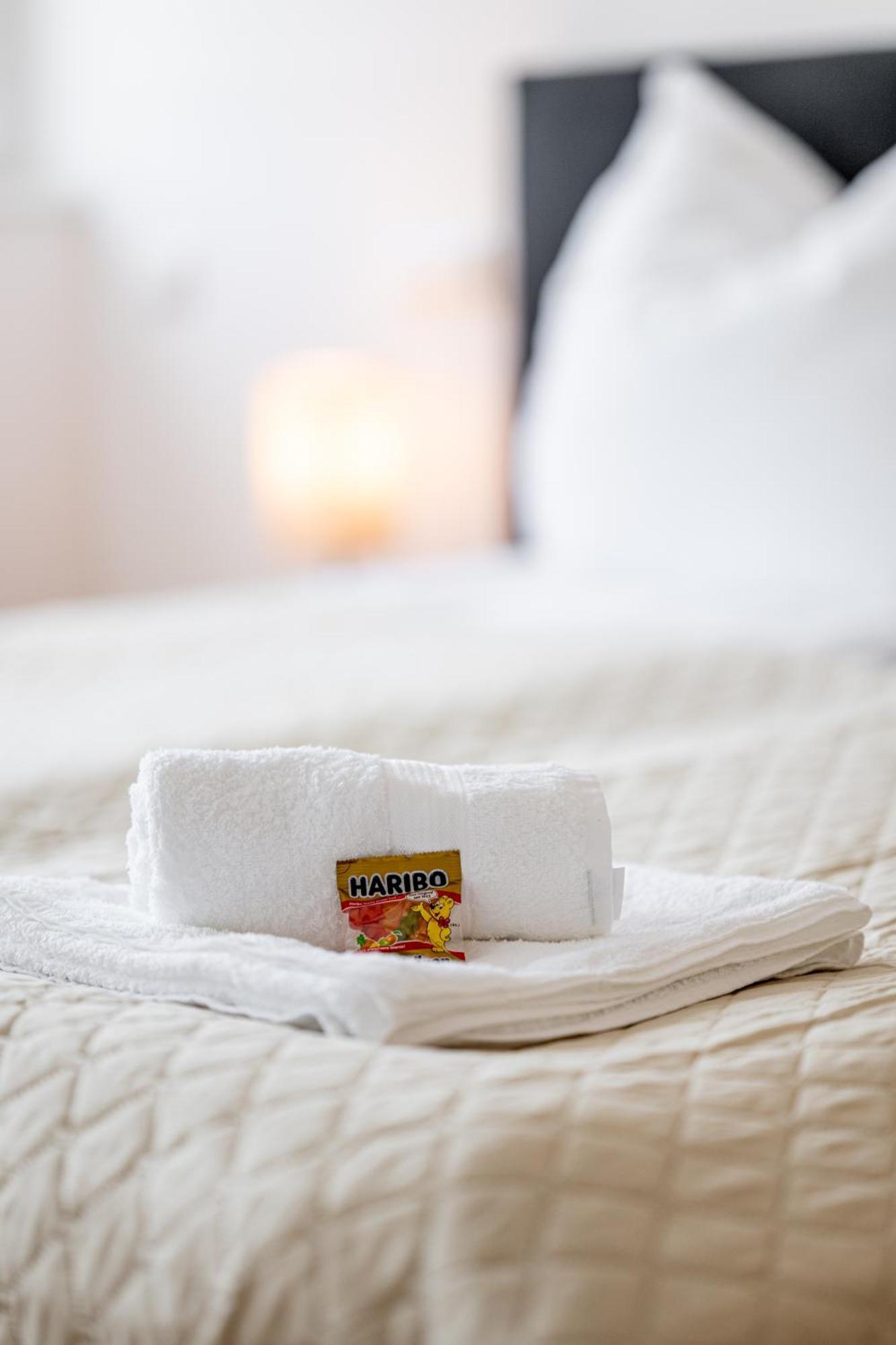 Luxury Sedda Bed, Nespresso, Netflix Apartment Linz Exterior photo